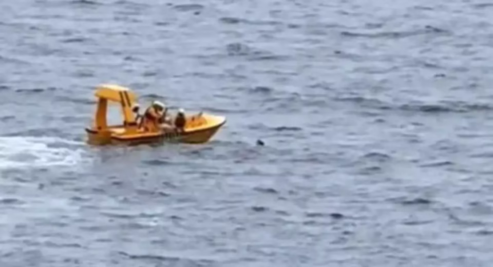 A True Heroic Disney Cruise Rescue Story: How a Father and Daughter Rescued Disney Cruise 52 father and daughter rescued disney cruise