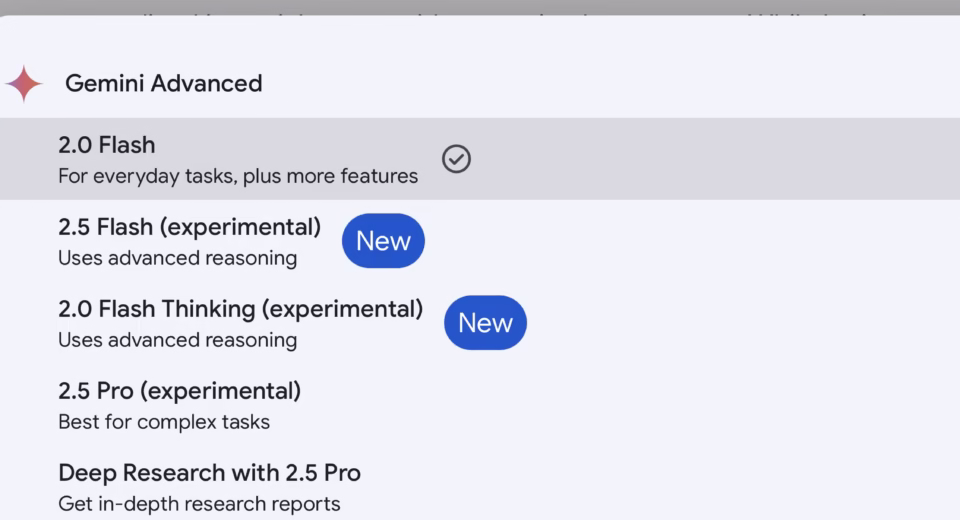 Gemini Pro function call tooling errors