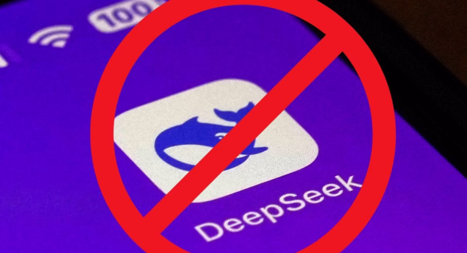 Germany DeepSeek app ban reasons DRONE