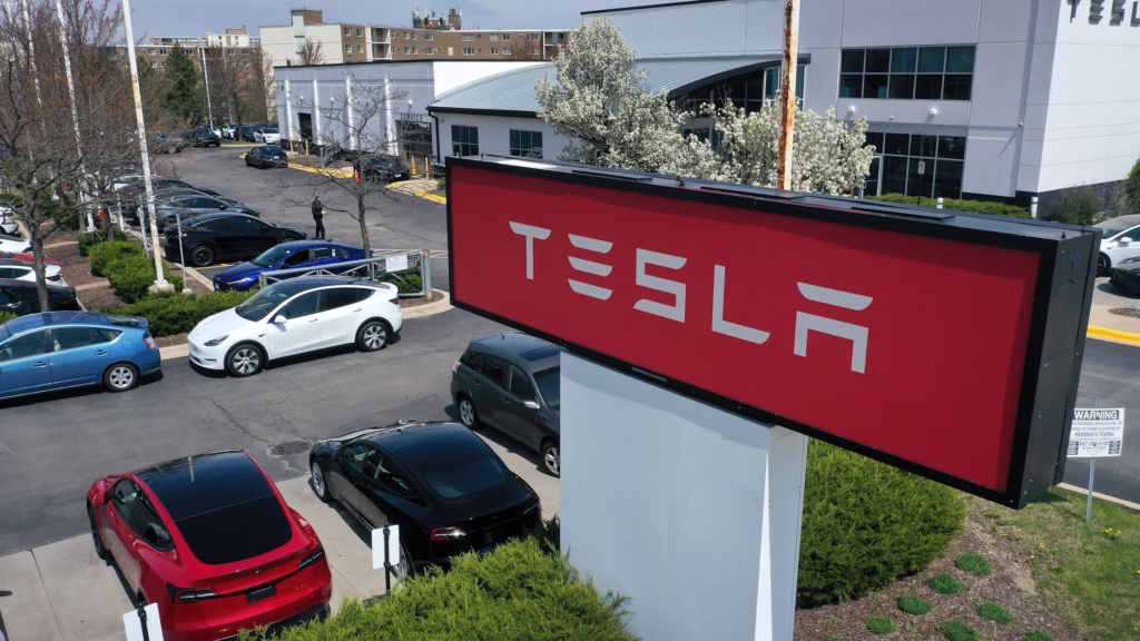 tesla data leak safety complaints DRONE