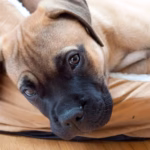 Unlocking AI in Content Creation: A Powerful Guide for Marketers and Bloggers